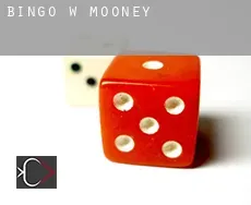 Bingo w  Mooney