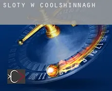 Sloty w Coolshinnagh