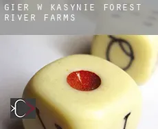 Gier w kasynie  Forest River Farms