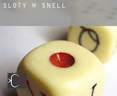 Sloty w Snell
