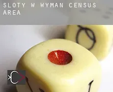 Sloty w  Wyman (census area)