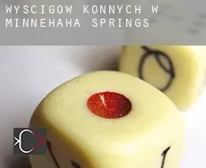 Wyścigów konnych w Minnehaha Springs