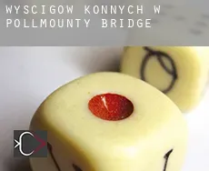 Wyścigów konnych w Pollmounty Bridge