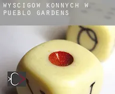 Wyścigów konnych w  Pueblo Gardens