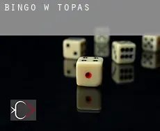 Bingo w  Topas