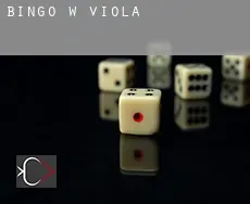 Bingo w  Viola