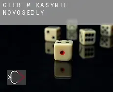 Gier w kasynie  Novosedly