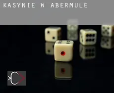 Kasynie w  Abermule