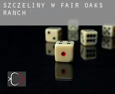 Szczeliny w  Fair Oaks Ranch