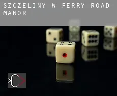 Szczeliny w  Ferry Road Manor