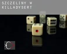 Szczeliny w  Killadysert