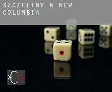 Szczeliny w  New Columbia