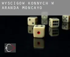 Wyścigów konnych w Aranda de Moncayo