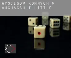 Wyścigów konnych w  Aughagault Little