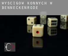 Wyścigów konnych w Benneckenrode