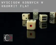 Wyścigów konnych w  Knorrit Flat