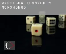 Wyścigów konnych w  Morohongō