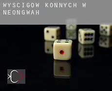Wyścigów konnych w  Neongwah