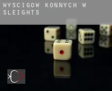 Wyścigów konnych w  Sleights