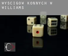 Wyścigów konnych w  Williams