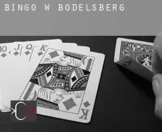 Bingo w  Bodelsberg