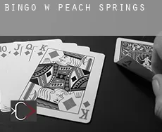 Bingo w  Peach Springs