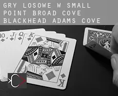 Gry losowe w  Small Point-Broad Cove-Blackhead-Adams Cove