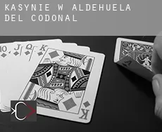 Kasynie w Aldehuela del Codonal