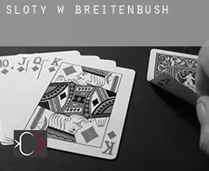 Sloty w Breitenbush