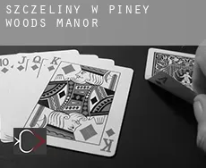 Szczeliny w  Piney Woods Manor