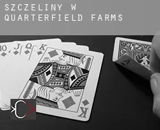 Szczeliny w  Quarterfield Farms