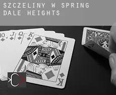Szczeliny w  Spring Dale Heights
