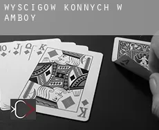 Wyścigów konnych w  Amboy