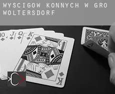 Wyścigów konnych w  Groß Woltersdorf
