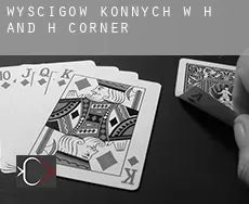 Wyścigów konnych w H and H Corner