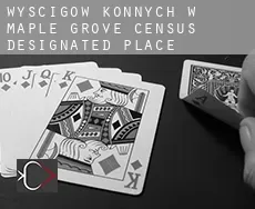Wyścigów konnych w  Maple Grove