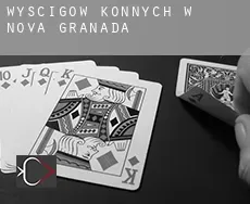 Wyścigów konnych w Nova Granada