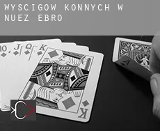 Wyścigów konnych w  Nuez de Ebro