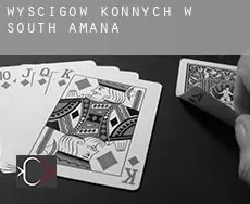 Wyścigów konnych w  South Amana