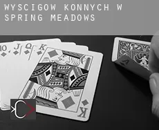 Wyścigów konnych w Spring Meadows