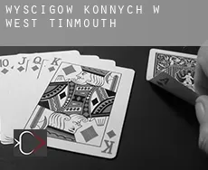 Wyścigów konnych w  West Tinmouth
