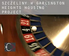Szczeliny w  Garlington Heights Housing Project