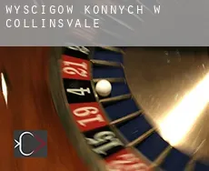 Wyścigów konnych w  Collinsvale