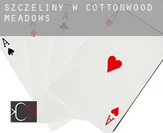 Szczeliny w  Cottonwood Meadows