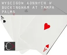 Wyścigów konnych w  Buckingham at Tampa Palms