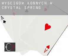 Wyścigów konnych w  Crystal Spring