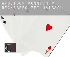 Wyścigów konnych w Recksberg bei Haibach