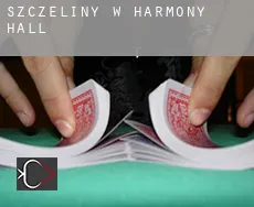 Szczeliny w Harmony Hall