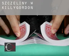 Szczeliny w  Killygordon