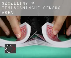 Szczeliny w  Témiscamingue (census area)